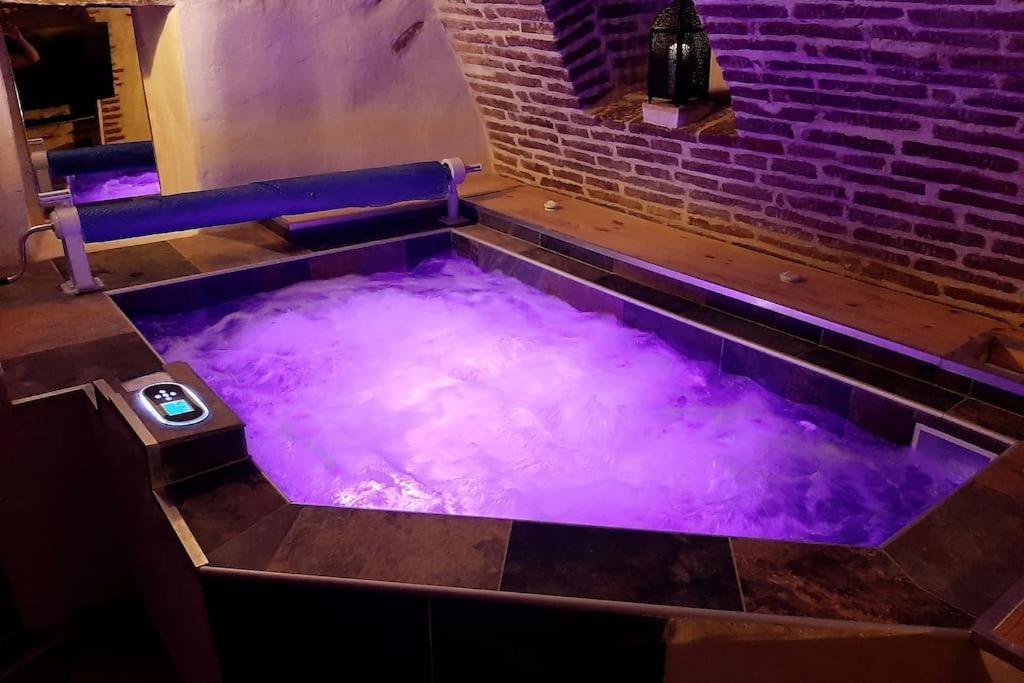 Studio Et Spa Privatif Le Puits De La Grace 阿尔比 外观 照片
